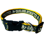 ATH-3036 - Oaklands A`s - Dog Collar